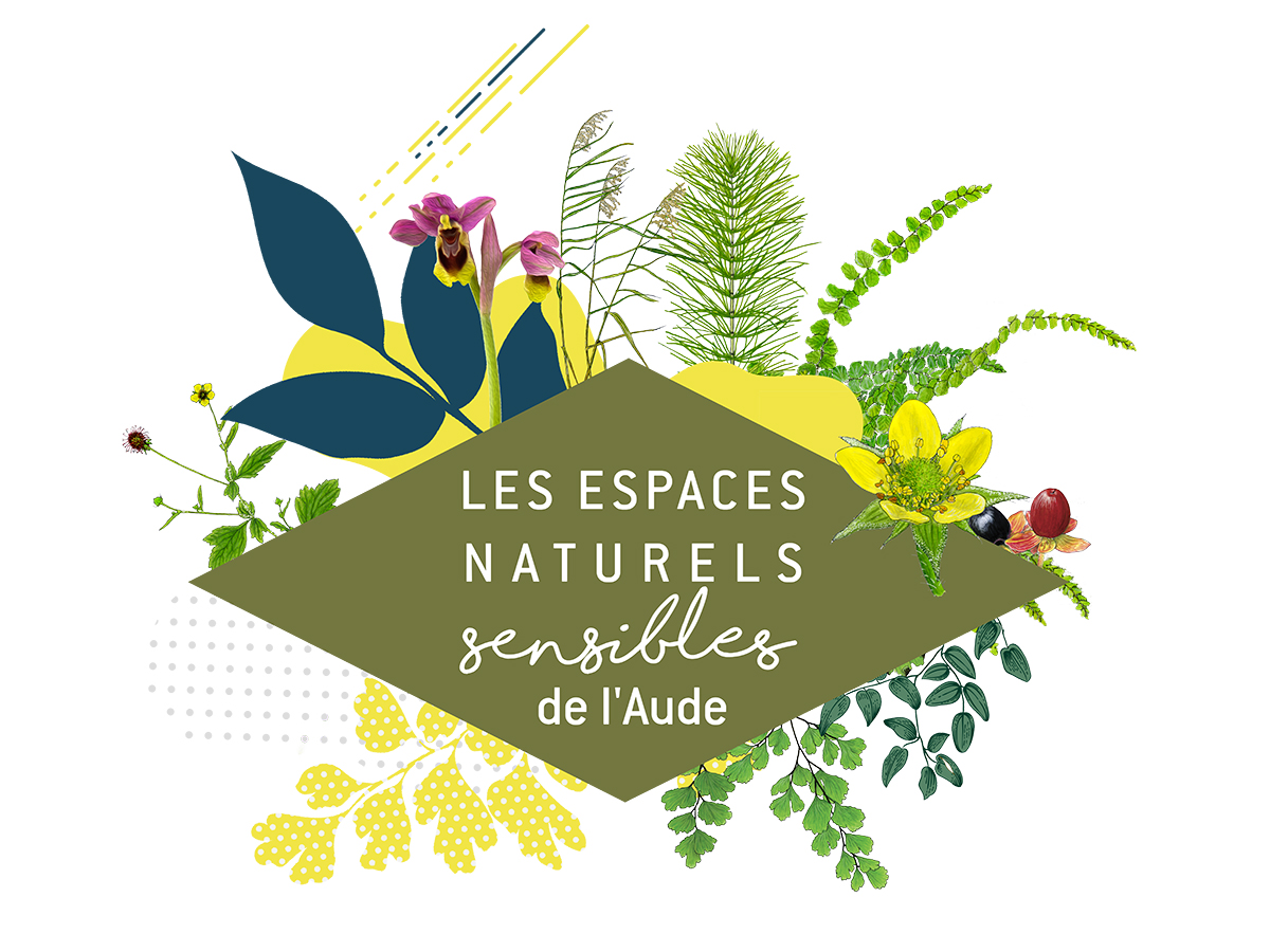 visuel ens département
