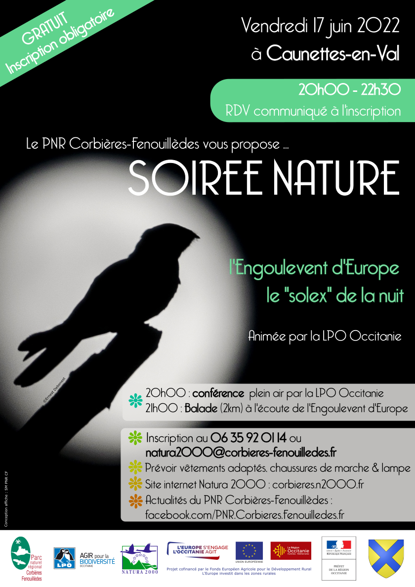 affiche animation l'Engoulevent d'Europe