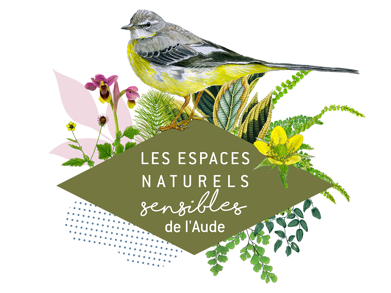 visuel ens département