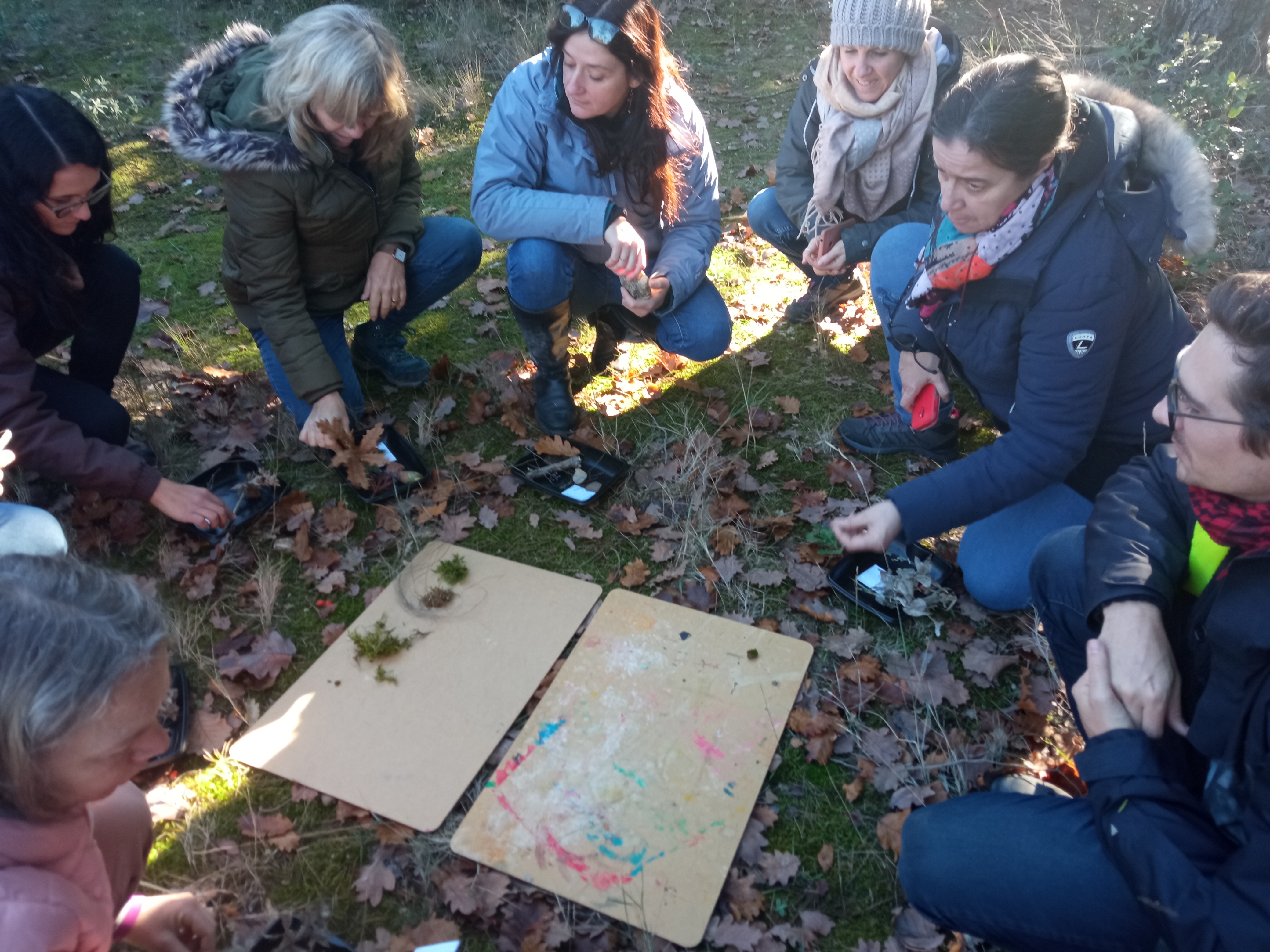 formation oser lecoledehors