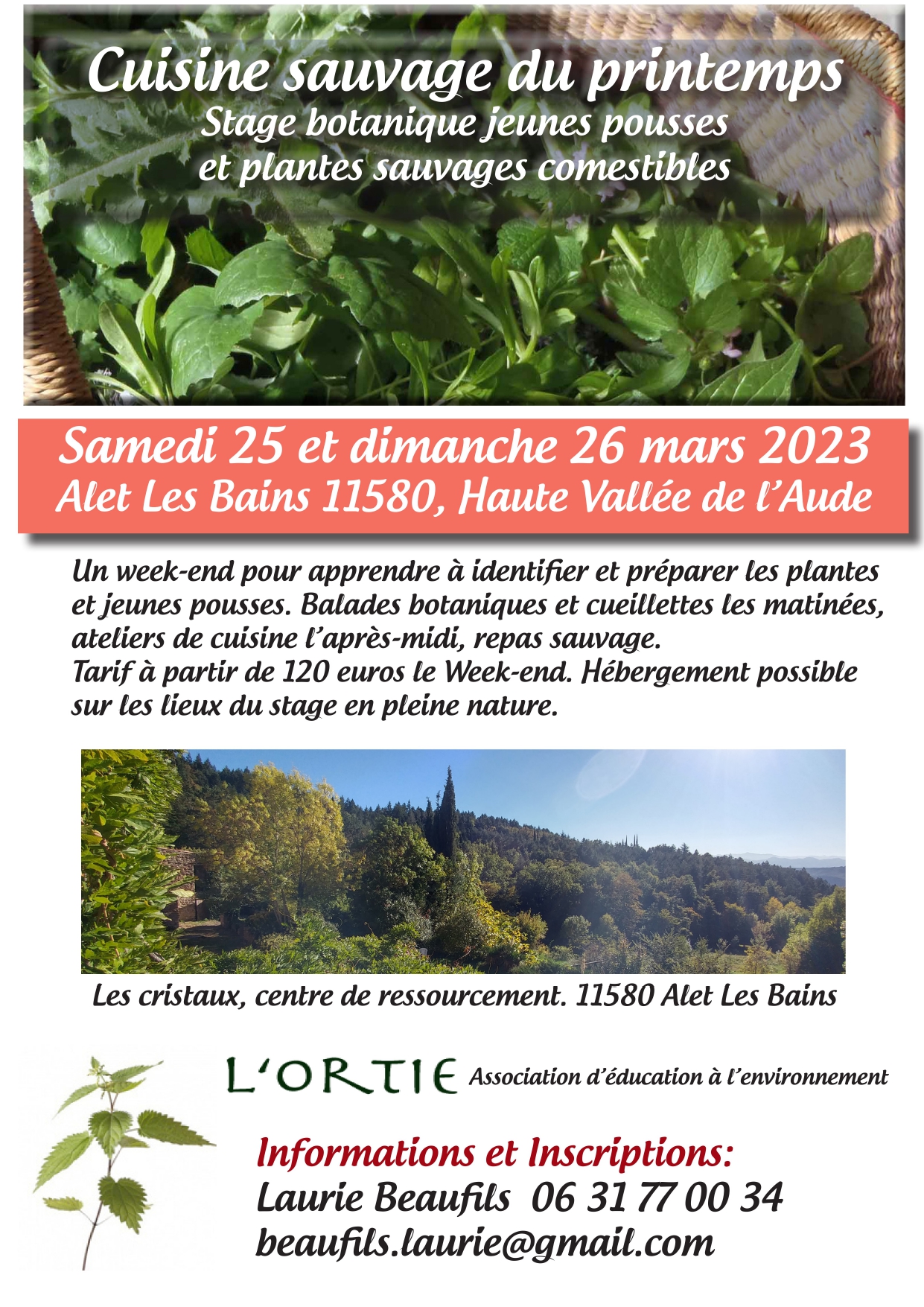 cuisine sauvage du printemps 