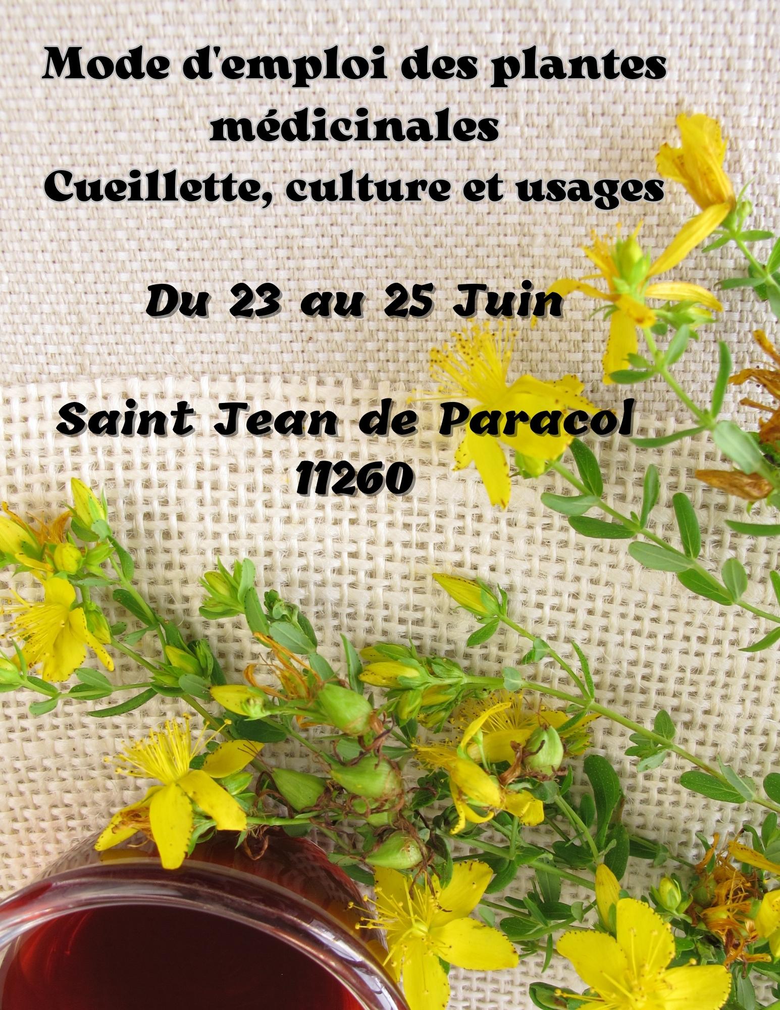 Formation utilisation des plantes médicinales