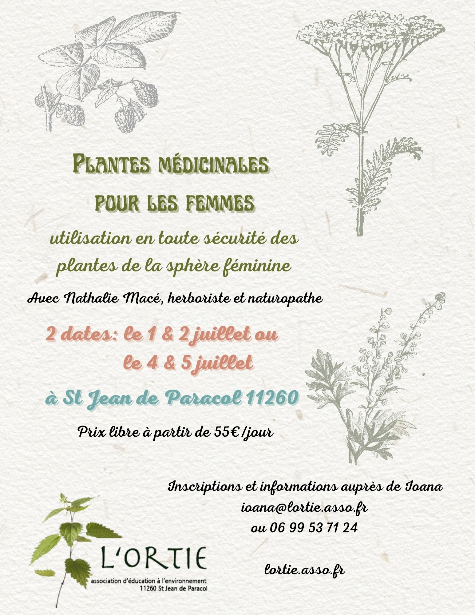 Plantes médicinales pour les femmes