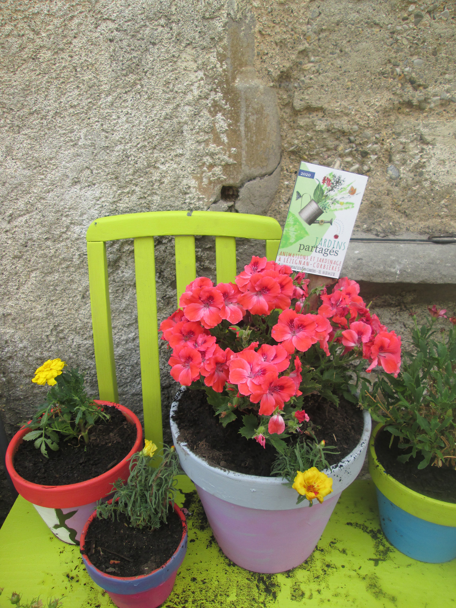 Jardins partagés et animation