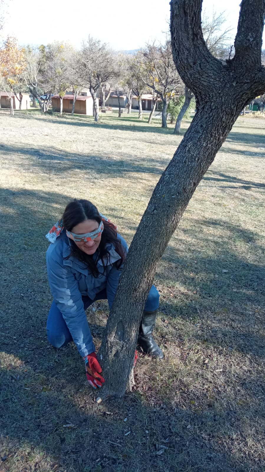 arbre a soi