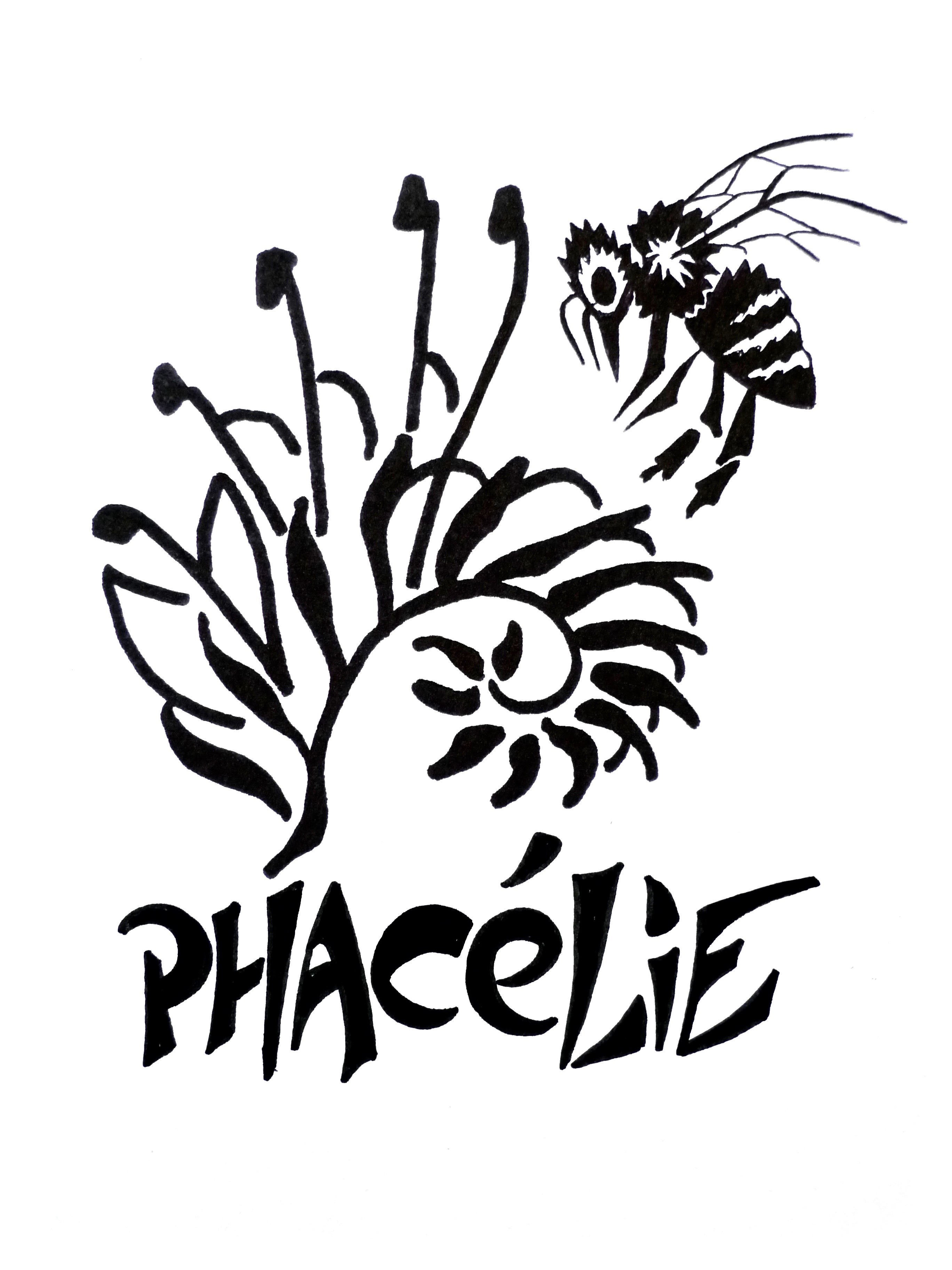 Association Phacélie, Agir pour la Biodiversité!