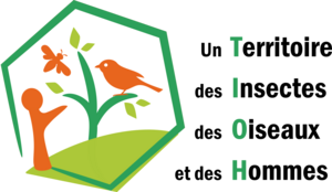 Logo tioh