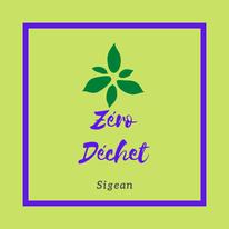 logo zd