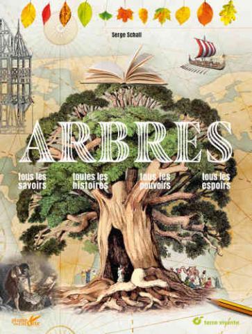 arbres