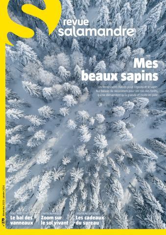 image de couverture
