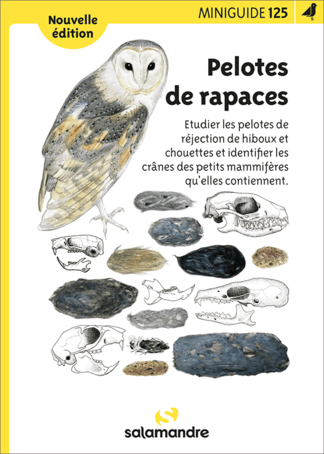 image de couverture