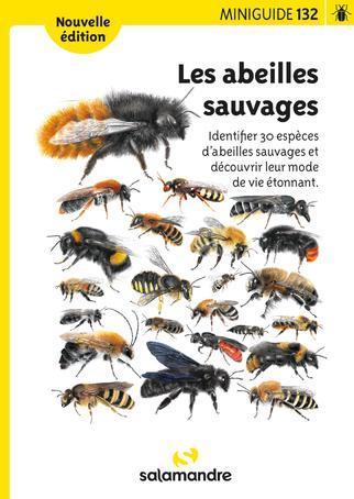 image de couverture / abeilles sauvages